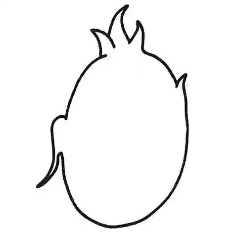 火龙果简笔画 火龙果简笔画彩色
