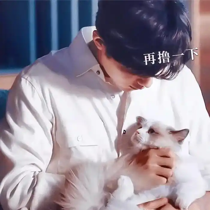 肖战 撸猫镜头# 万物有灵,而这样的温柔让人信任和沉溺#  - 抖音