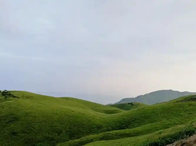 【携程攻略】明月山高山草甸景点,高山草甸,日出日落,美美美美!