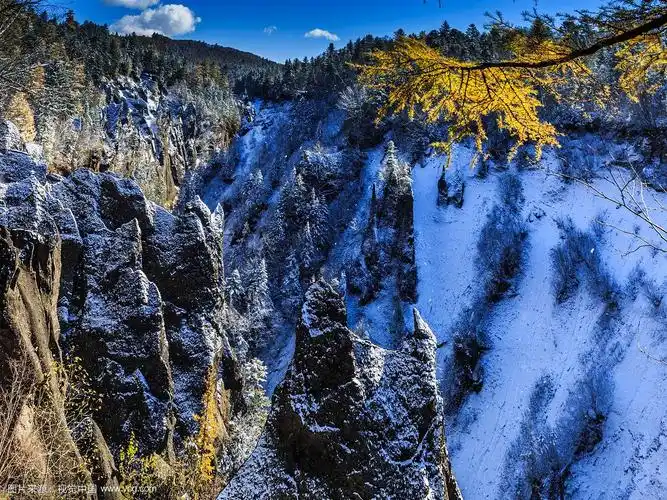 长白山大峡谷-长白山大峡谷 介绍