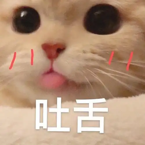 可爱猫猫表情包_猫猫_可爱表情