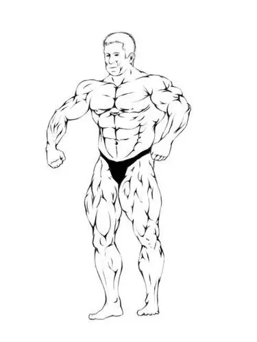 漫画肌肉怎么画-简笔画 肌肉男|漫画腿部肌肉怎么画