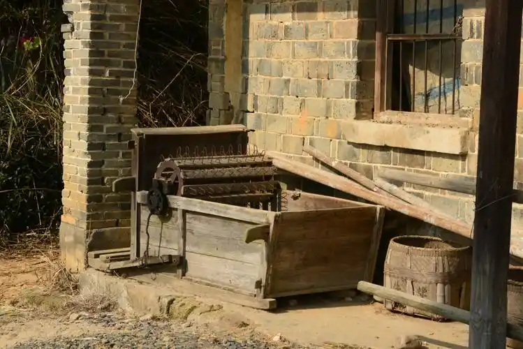 这种打谷机,半自动化的,当时可是先进生产力的代表.