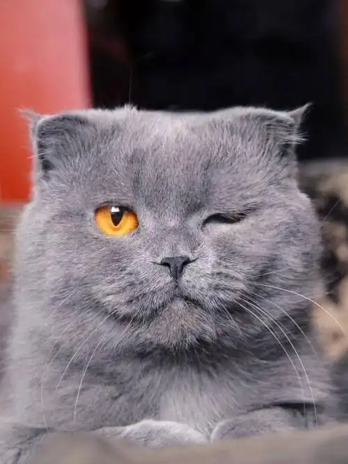 640_852竖版 竖屏