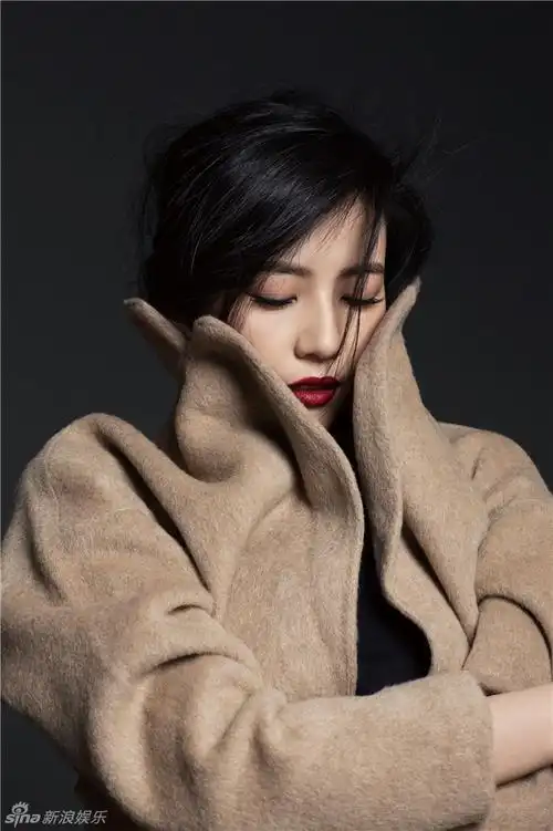 组图高圆圆秋冬大片曝光发丝飞扬红唇俊俏