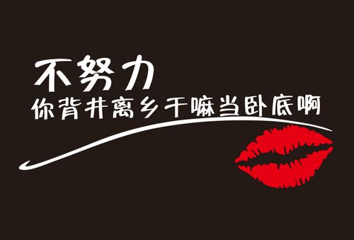 不努力你背景离乡干嘛当卧底啊车贴纸抖音网红励志汽车反光贴