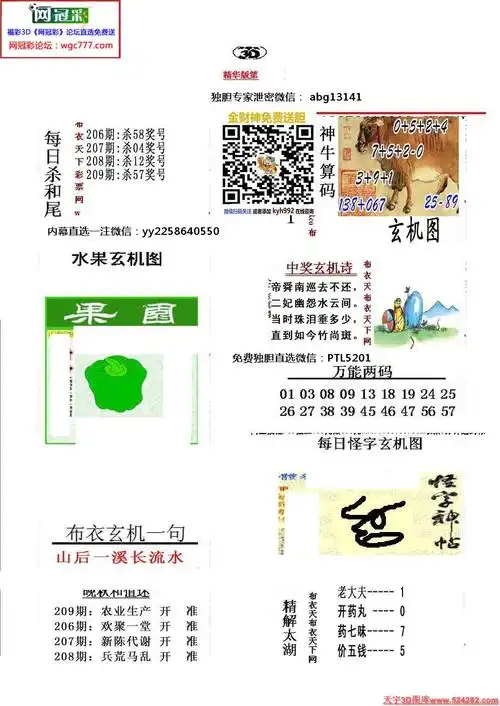 真精华会员布衣1