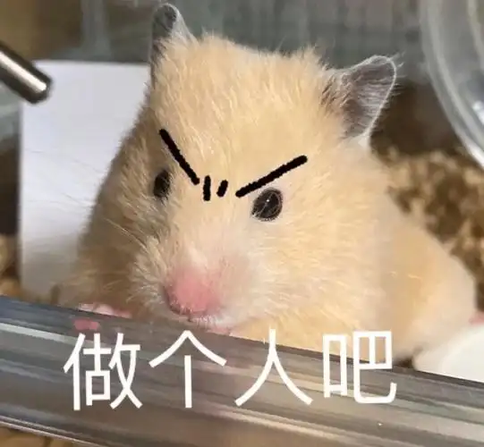 热门表情包原图精选70个表情20200819