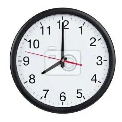 其它 大班活动:我的小闹钟 写美篇活动目标 1.