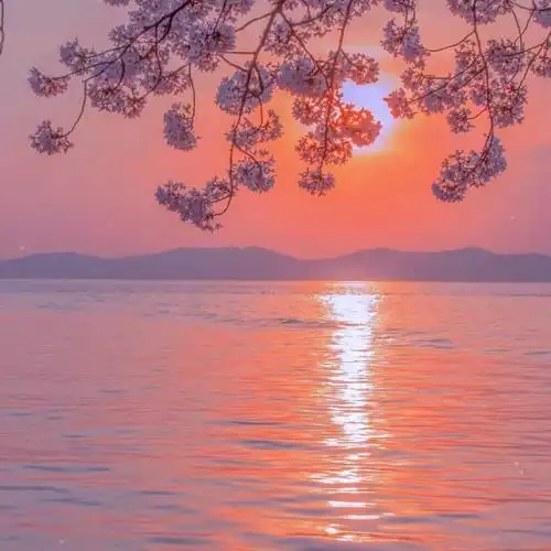 适合一辈子风景头像图片 高清值得一辈子不换的头像风景_风景微信头像