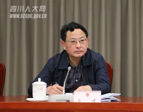 四川省人大王建简历简介:王建为什么主动投案?