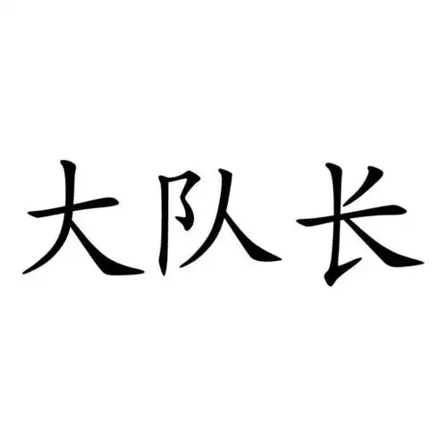 大队长商标公告