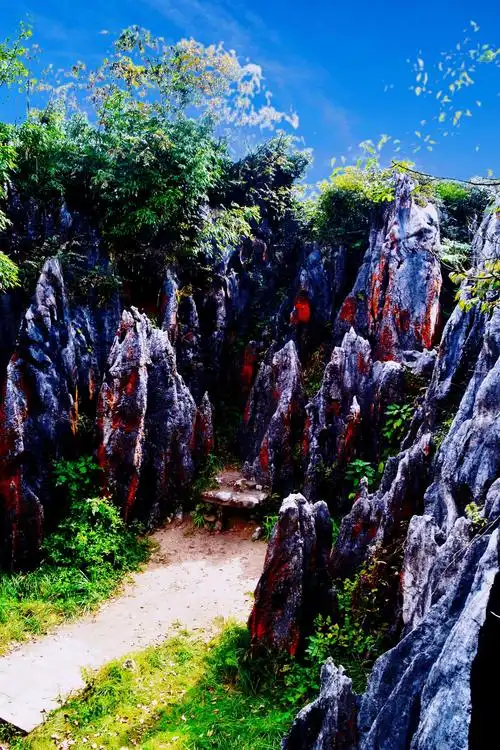 天下奇观〃千年一吻"