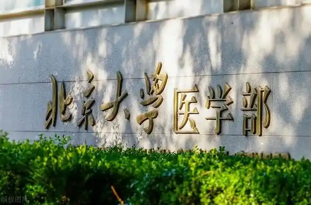 高考考上北大医学院的同学,都是当地的佼佼者.现在看