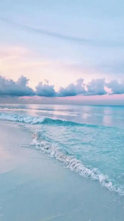 700_1242竖版 竖屏