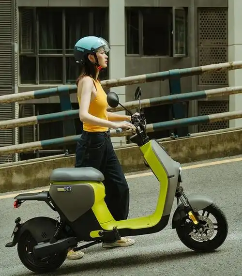 九号b110p电动自行车,新国标智能车型登场!