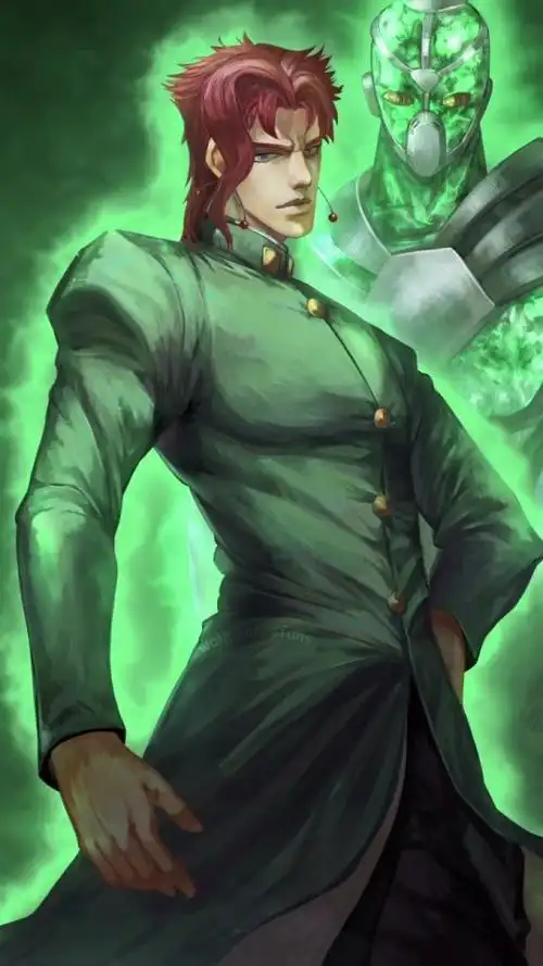 火萤 视频:jojo花京院典明