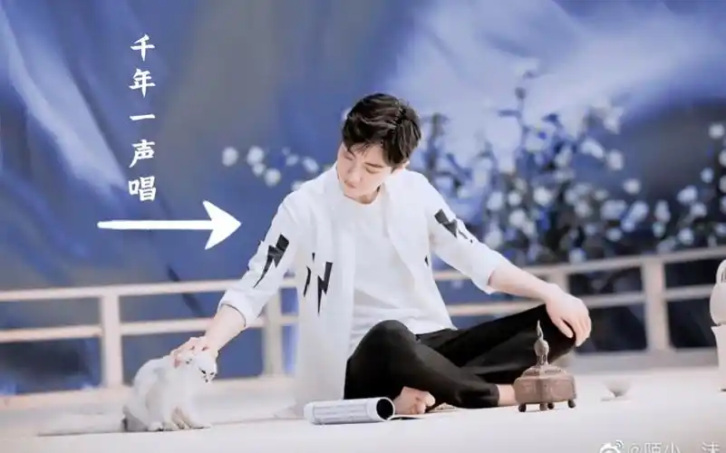 《千年一声唱》小飞侠与肖战合唱‖微卡点mv