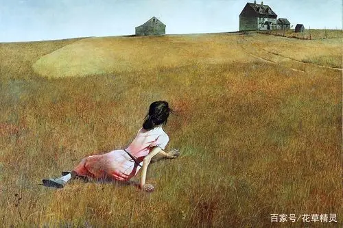 安德鲁·怀斯写实主义绘画作品