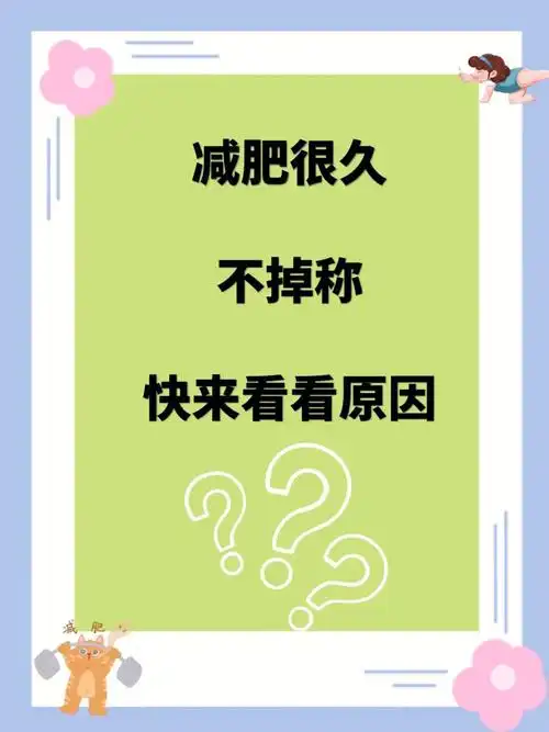 减肥很久不掉秤快来看看原因