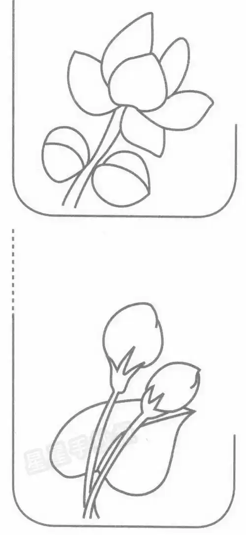 茉莉花简笔画 茉莉花简笔画彩色