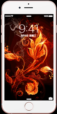 燃烧 burning 动态 壁纸 锁屏 livephotos gif 动图 iphone 手机 3d