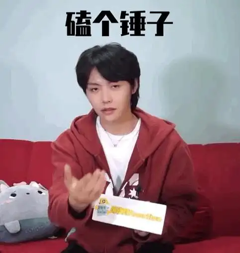 可太喜欢梁梁子的采访了喜欢到必须马上做一套表情包