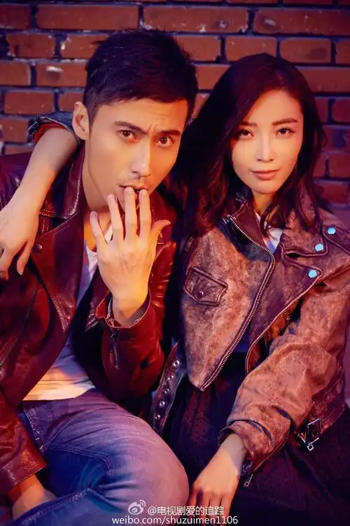 电视剧爱的追踪