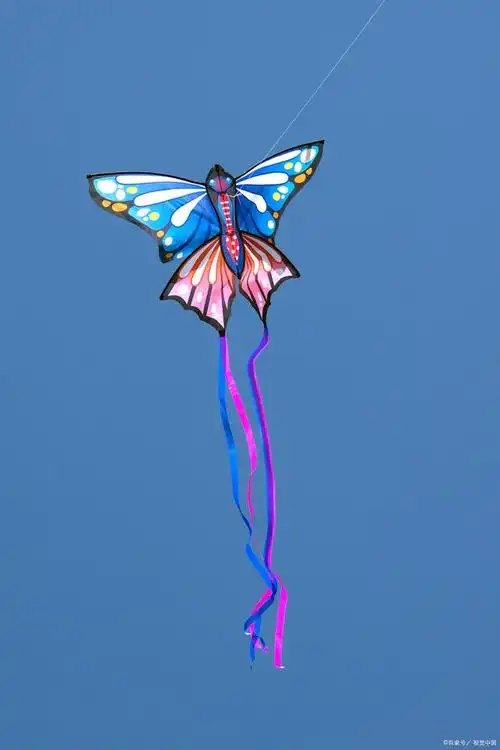 假如蝴蝶风筝是我的翅膀