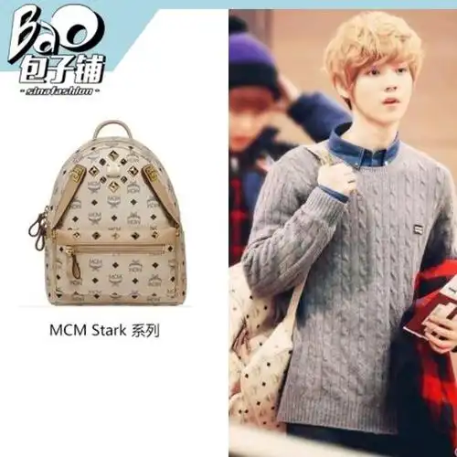 鹿晗背mcm双肩背