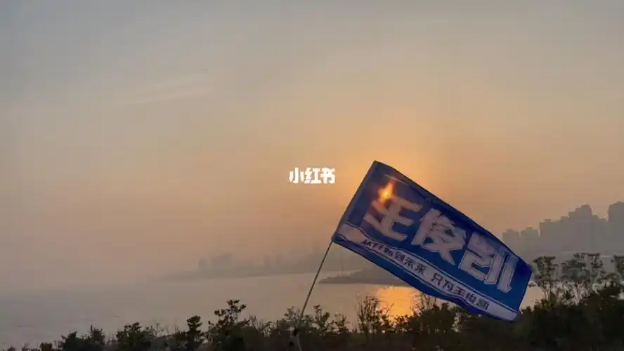 拜托为王俊凯举大旗真的超酷的