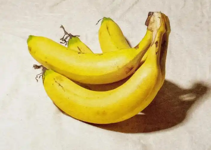 色彩静物教程 i 单个静物与塑造分解讲解