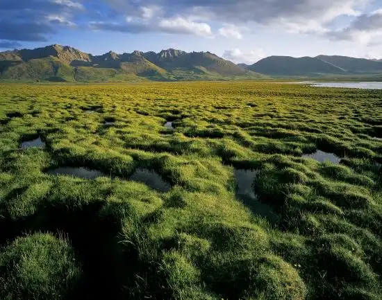 园内广泛分布冰川雪山,高海拔湿地,荒漠戈壁,高寒草原草甸,生态类型
