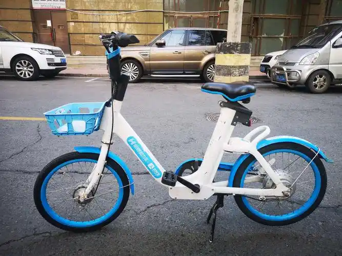 《哈啰》共享单车一一哈市靓丽的风景线!