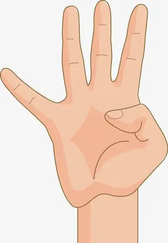 伸出的4根手指png图