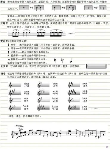 小提琴必学的乐理知识