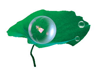 【透明边框背景篇】※动态透明免抠素材※◆飘动的花朵◆第二辑