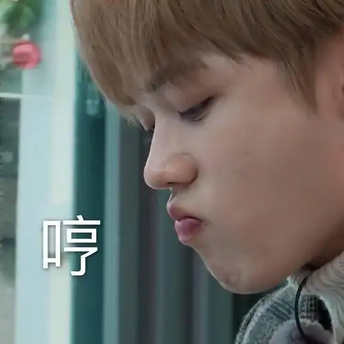 林彦俊表情包真是又可爱又傻傻的