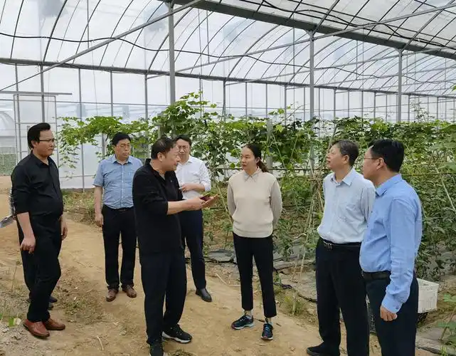 桐城新闻网 要闻5月13日上午,农业农村部种植业管理司肥料与节水处