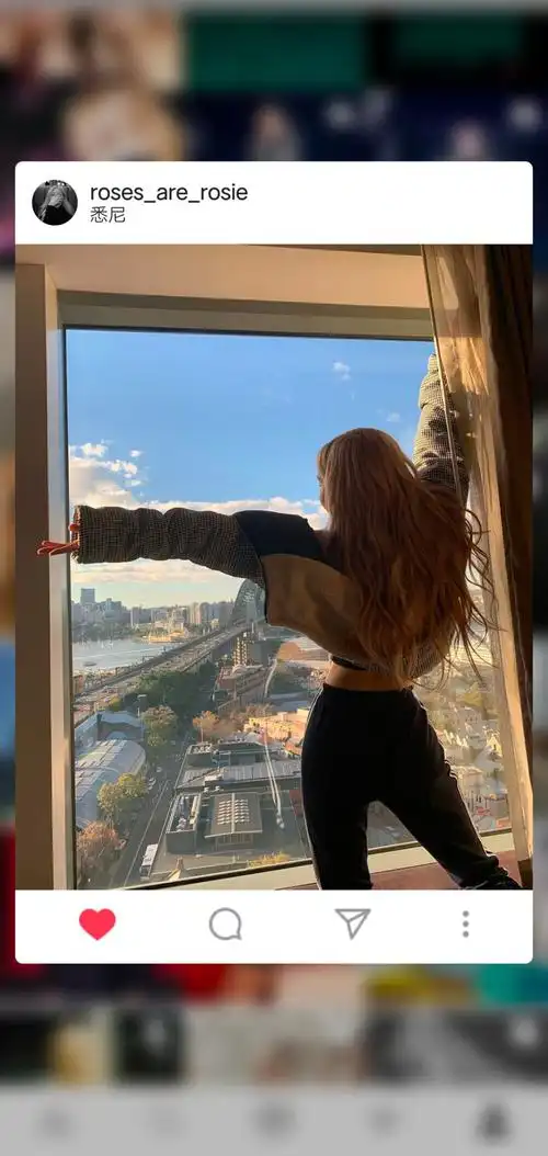 blackpink人间玫瑰