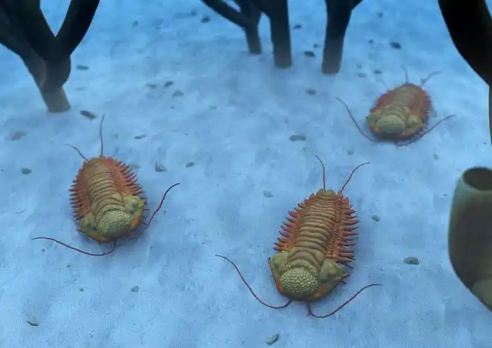 小动物大岁月,三叶虫为何可以在地球上存在几亿年