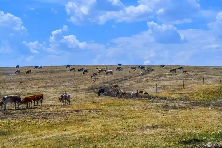 辽阔呼伦贝尔大草原风景美13
