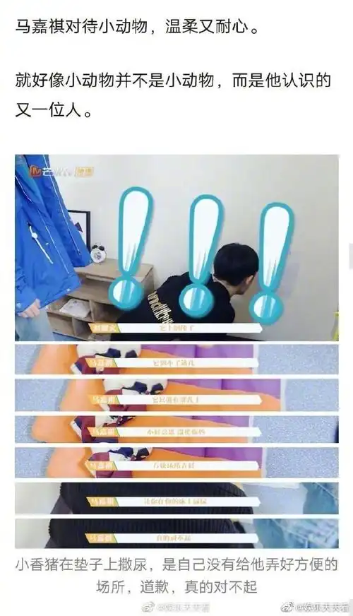 桃花坞嘉宾##马嘉祺 品格美学