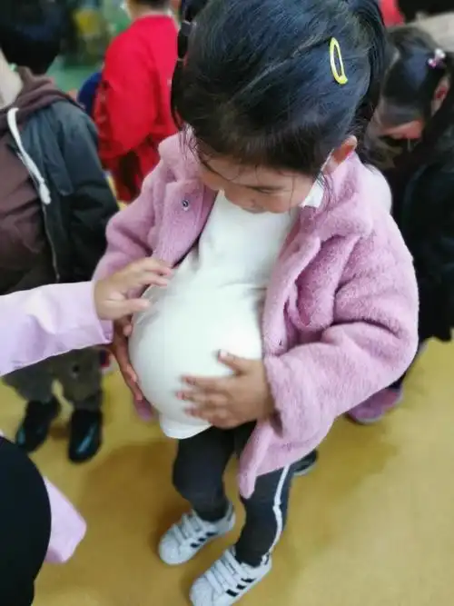 感恩母爱之"体验怀孕妈妈的一天"————西环路伟才幼儿园母亲节活动