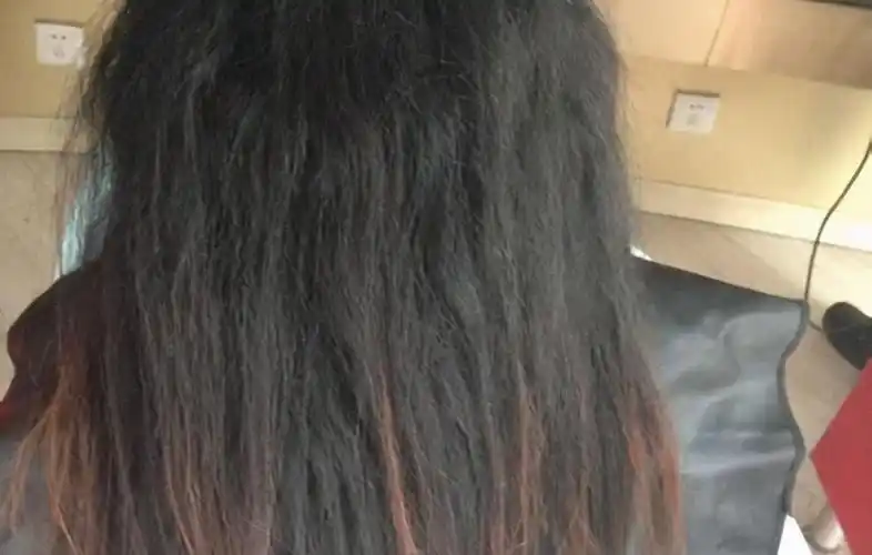 头发沙发是什么意思(怎么判断头发是不是沙发发质)-图1