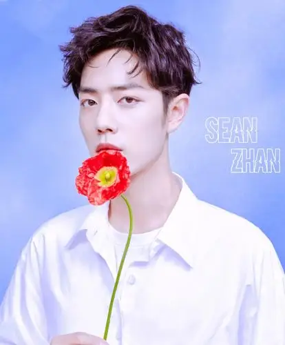 肖战人间理想型