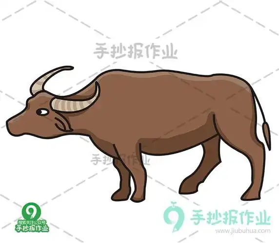 水牛简笔画