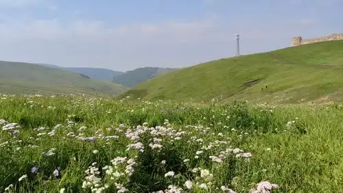 高山草原圣水梁