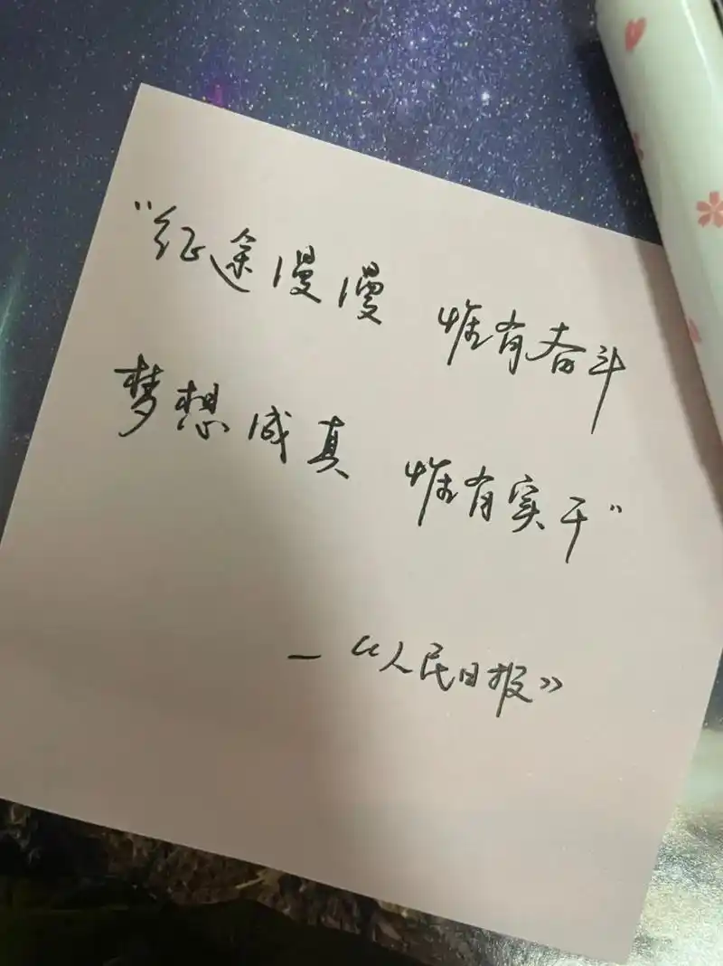 人民日报文案金句摘抄/长路漫漫唯有奋斗,梦想成真唯有实干!# - 抖音