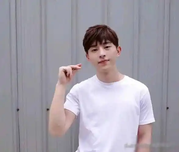 邓伦,这个名字对于许多粉丝来说,早已不仅仅是一个简单的符号,更是一